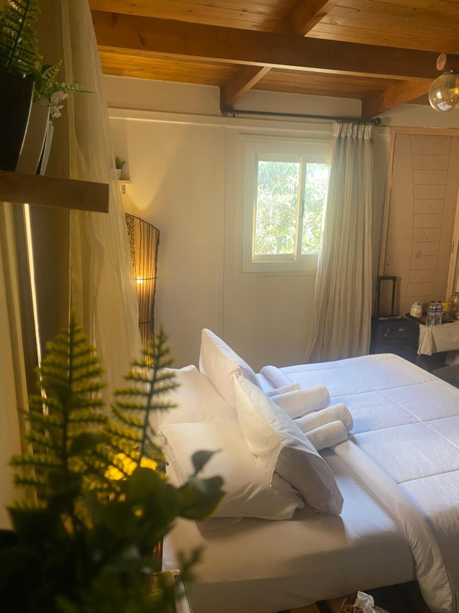 Airport Rooftop Club Luxurious Rooms And Studios Kairo Eksteriør bilde